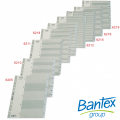 BANTEX A4 灰色膠質索引分類 1-12  #6211