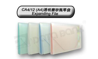 DATA BANK A4 12格透明磨砂風琴快勞 CA4/12
