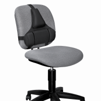Fellowes FW 8037601 專業護理背墊