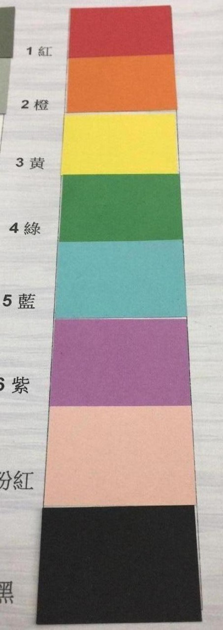 100G 韓國粉畫紙 21.5"x31" @50'S