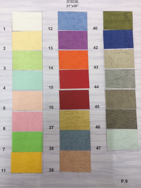 100G 皮紋紙 25"x35"